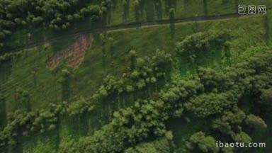 空中绿色景观与森林和田野在夏天的俄罗斯农村